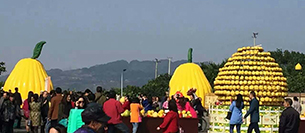沐鸣2舞台音响设备注入梁平采柚节开幕式